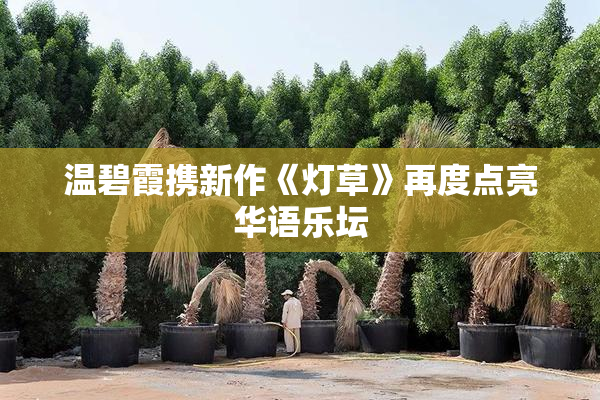 温碧霞携新作《灯草》再度点亮华语乐坛