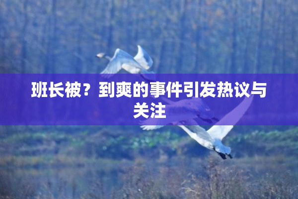 班长被？到爽的事件引发热议与关注