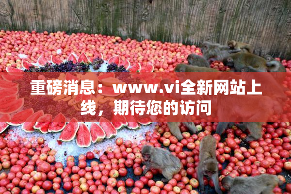 重磅消息：www.vi全新网站上线，期待您的访问