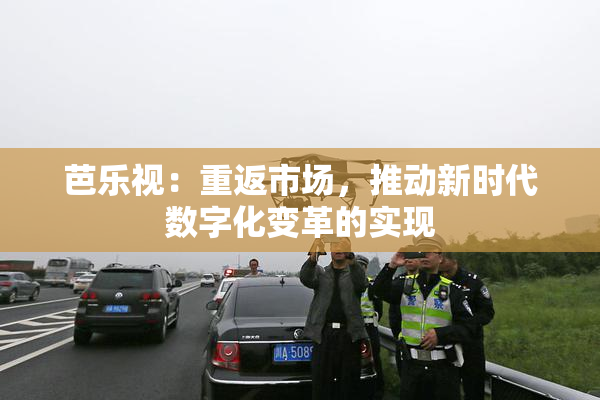 芭乐视：重返市场，推动新时代数字化变革的实现