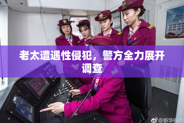 老太遭遇性侵犯，警方全力展开调查