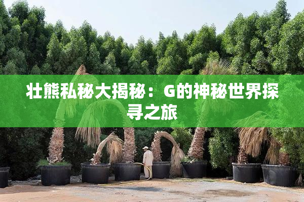 壮熊私秘大揭秘：G的神秘世界探寻之旅