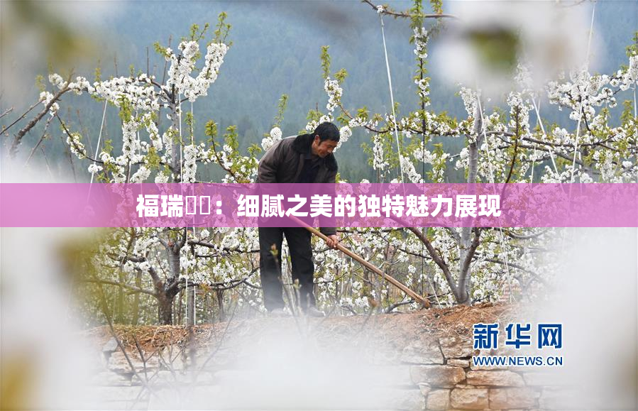 福瑞涊涊：细腻之美的独特魅力展现