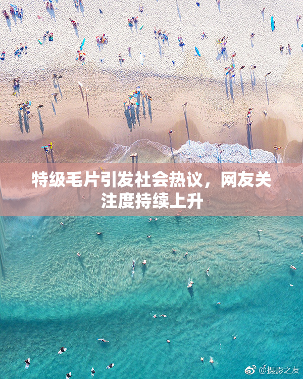 特级毛片引发社会热议，网友关注度持续上升