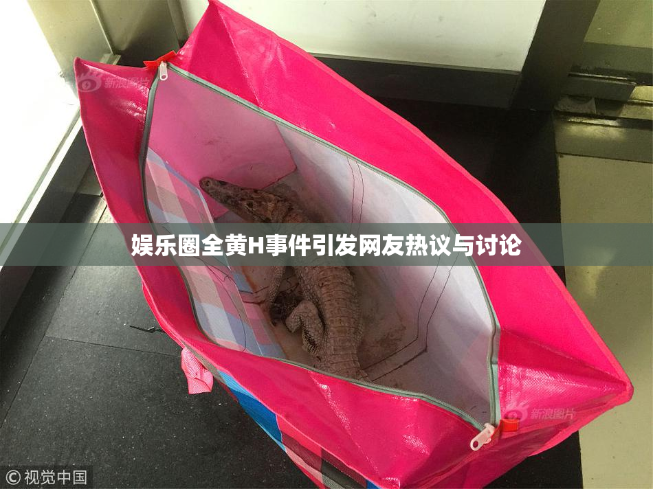 娱乐圈全黄H事件引发网友热议与讨论