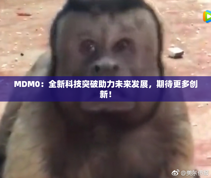 MDM0：全新科技突破助力未来发展，期待更多创新！