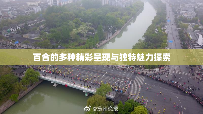 百合的多种精彩呈现与独特魅力探索