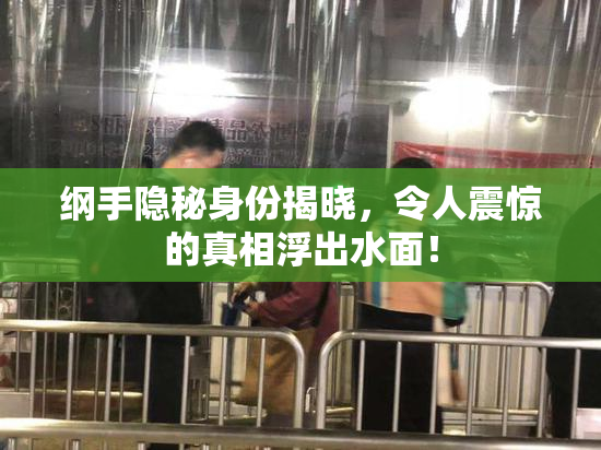 纲手隐秘身份揭晓，令人震惊的真相浮出水面！