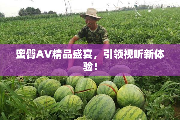 蜜臀AV精品盛宴，引领视听新体验！