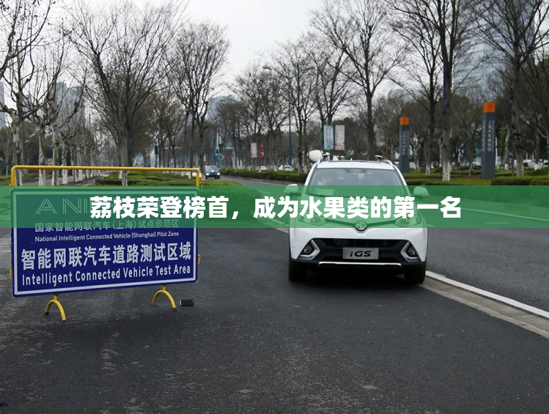 荔枝荣登榜首，成为水果类的第一名