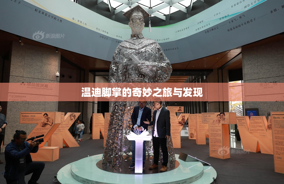 温迪脚掌的奇妙之旅与发现