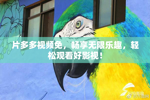 片多多视频免，畅享无限乐趣，轻松观看好影视！