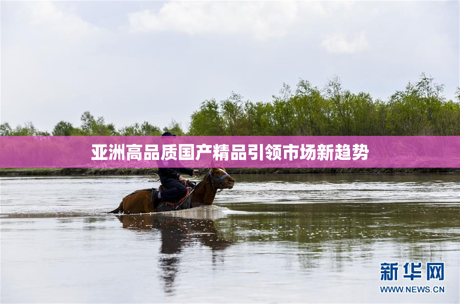 亚洲高品质国产精品引领市场新趋势