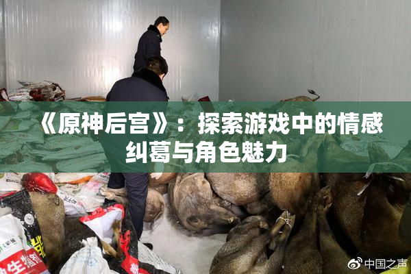 《原神后宫》：探索游戏中的情感纠葛与角色魅力