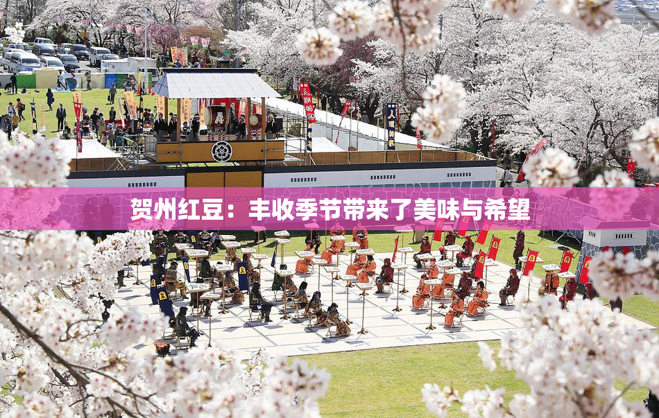 贺州红豆：丰收季节带来了美味与希望