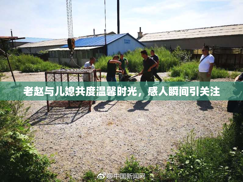 老赵与儿媳共度温馨时光，感人瞬间引关注