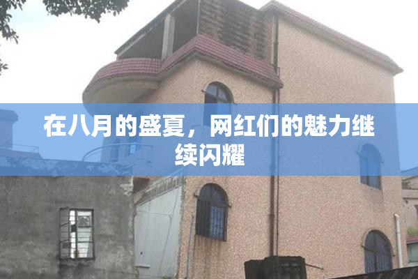 在八月的盛夏，网红们的魅力继续闪耀