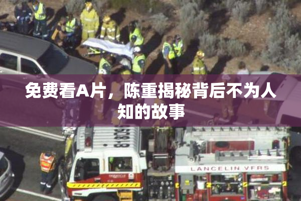 免费看A片，陈重揭秘背后不为人知的故事