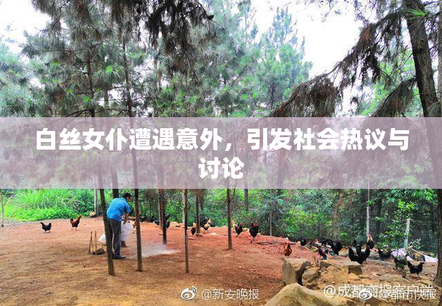 白丝女仆遭遇意外，引发社会热议与讨论