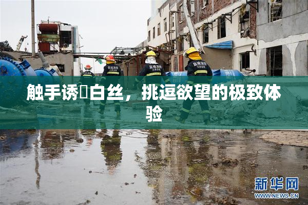 触手诱奷白丝，挑逗欲望的极致体验