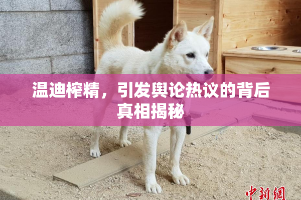 温迪榨精，引发舆论热议的背后真相揭秘