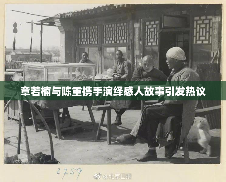 章若楠与陈重携手演绎感人故事引发热议