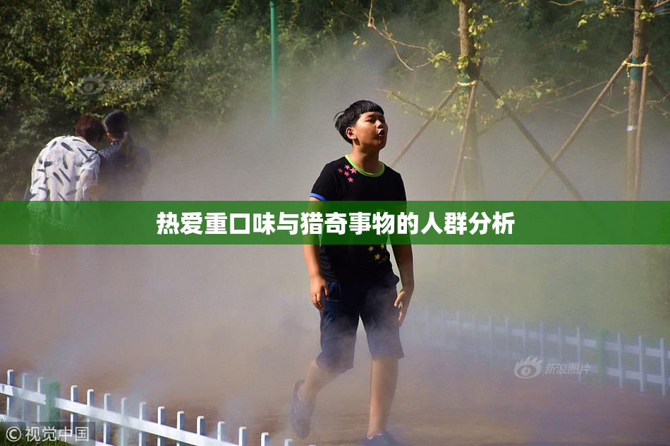 热爱重口味与猎奇事物的人群分析
