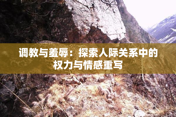 调教与羞辱：探索人际关系中的权力与情感重写