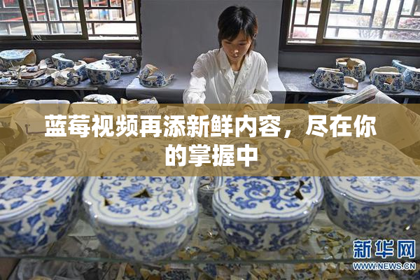 蓝莓视频再添新鲜内容，尽在你的掌握中