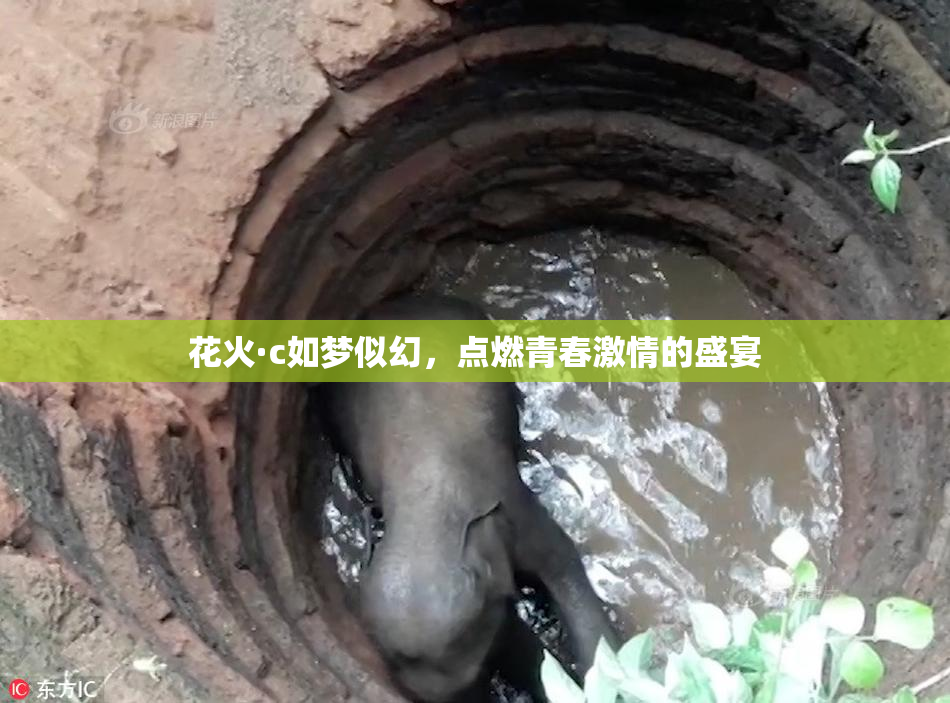 花火·c如梦似幻，点燃青春激情的盛宴