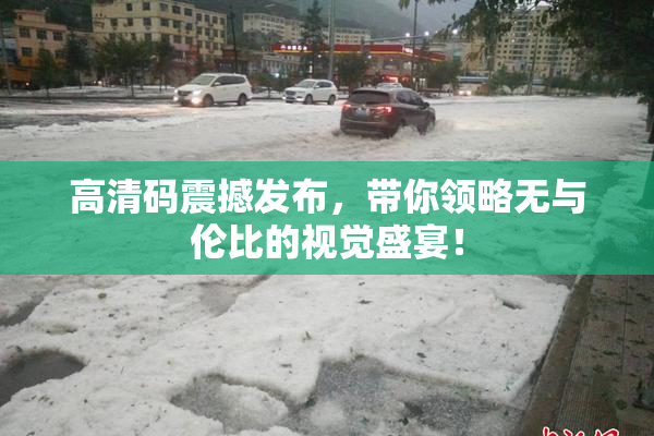 高清码震撼发布，带你领略无与伦比的视觉盛宴！