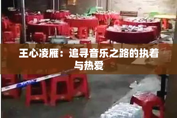 王心凌雁：追寻音乐之路的执着与热爱