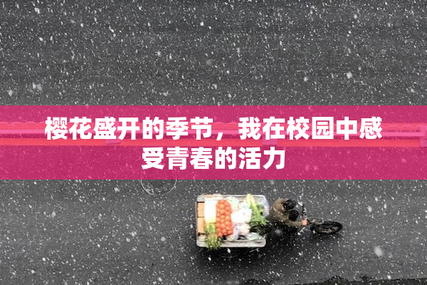 樱花盛开的季节，我在校园中感受青春的活力