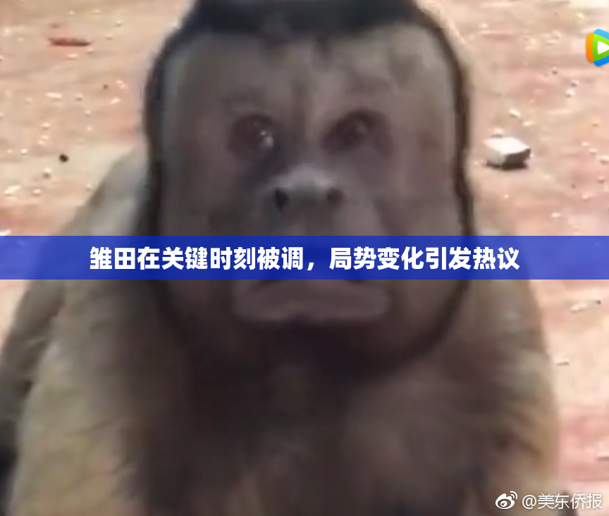 雏田在关键时刻被调，局势变化引发热议