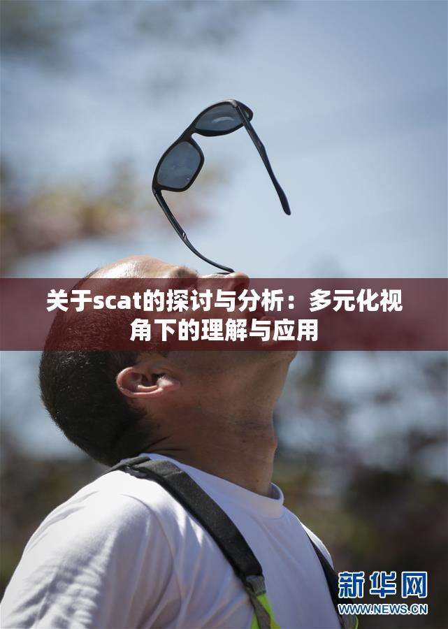 关于scat的探讨与分析：多元化视角下的理解与应用