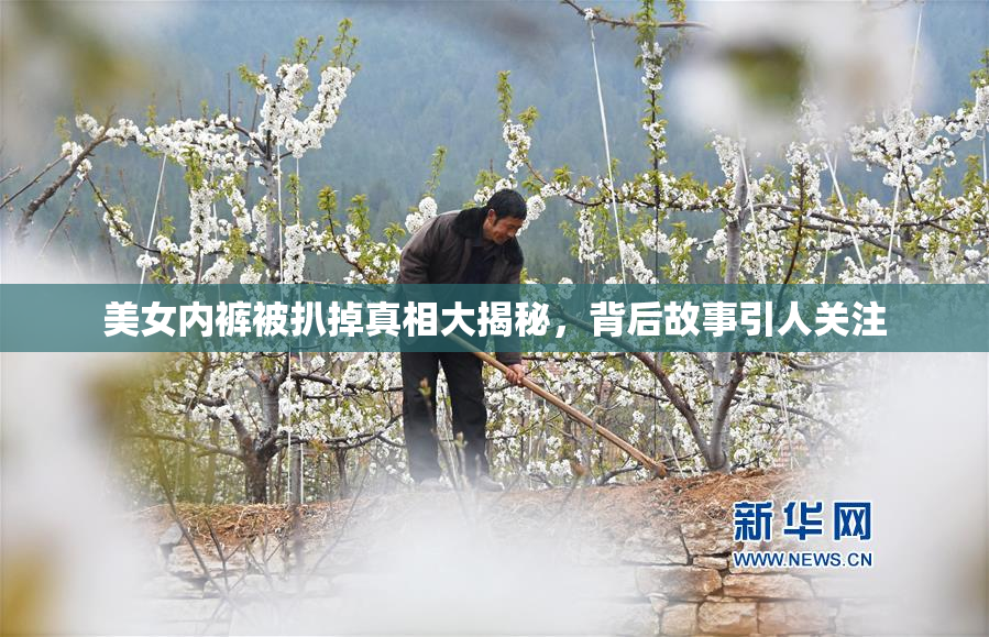 美女内裤被扒掉真相大揭秘，背后故事引人关注