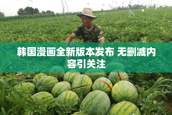韩国漫画全新版本发布 无删减内容引关注