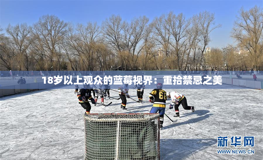 18岁以上观众的蓝莓视界：重拾禁忌之美