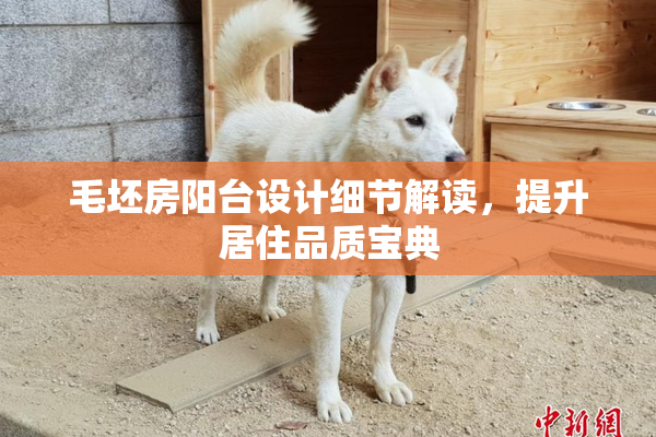 毛坯房阳台设计细节解读，提升居住品质宝典