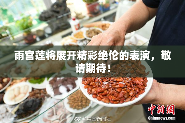 雨宫莲将展开精彩绝伦的表演，敬请期待！