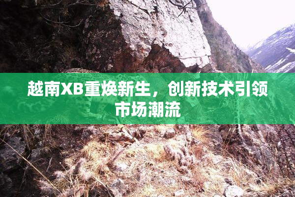 越南XB重焕新生，创新技术引领市场潮流