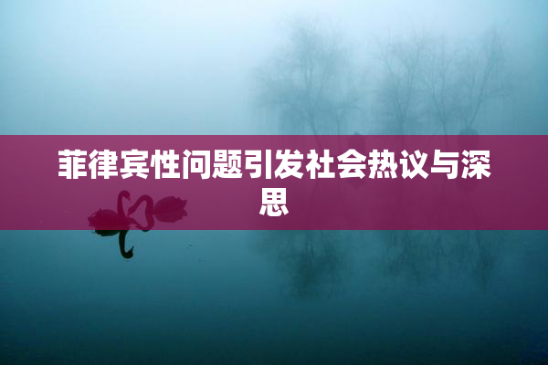 菲律宾性问题引发社会热议与深思