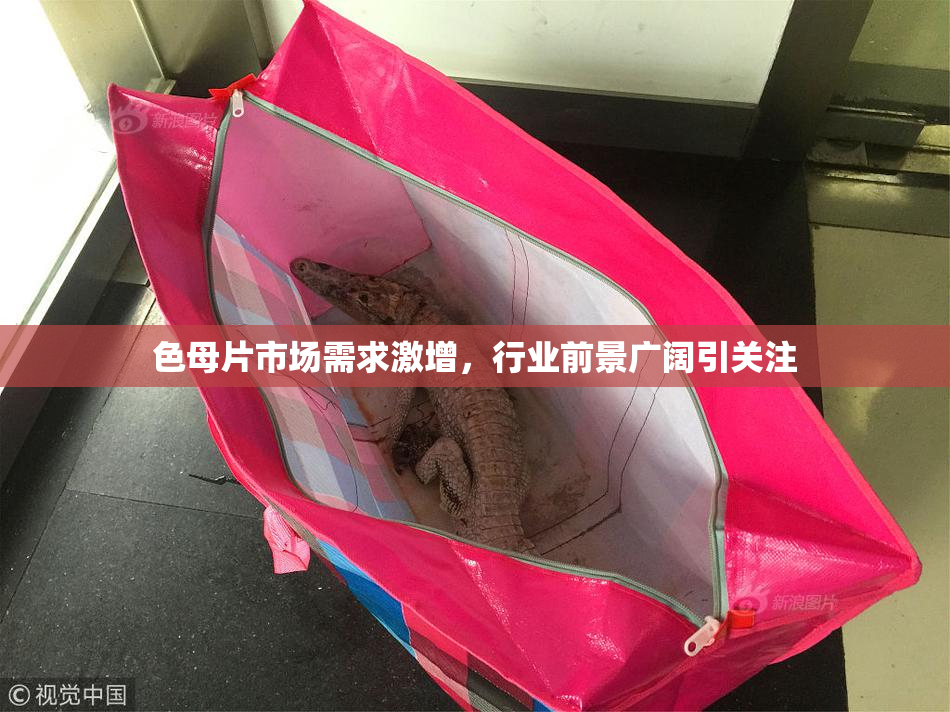 色母片市场需求激增，行业前景广阔引关注