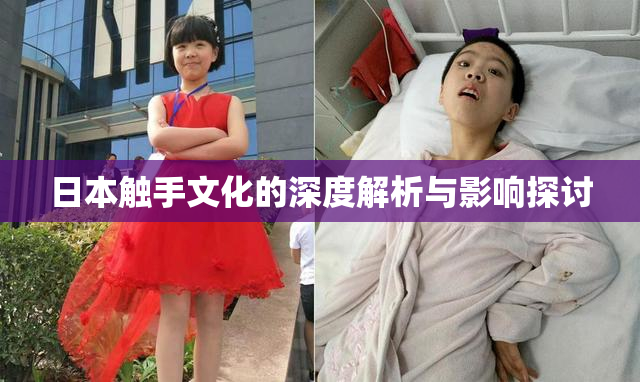 日本触手文化的深度解析与影响探讨