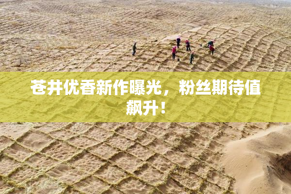 苍井优香新作曝光，粉丝期待值飙升！