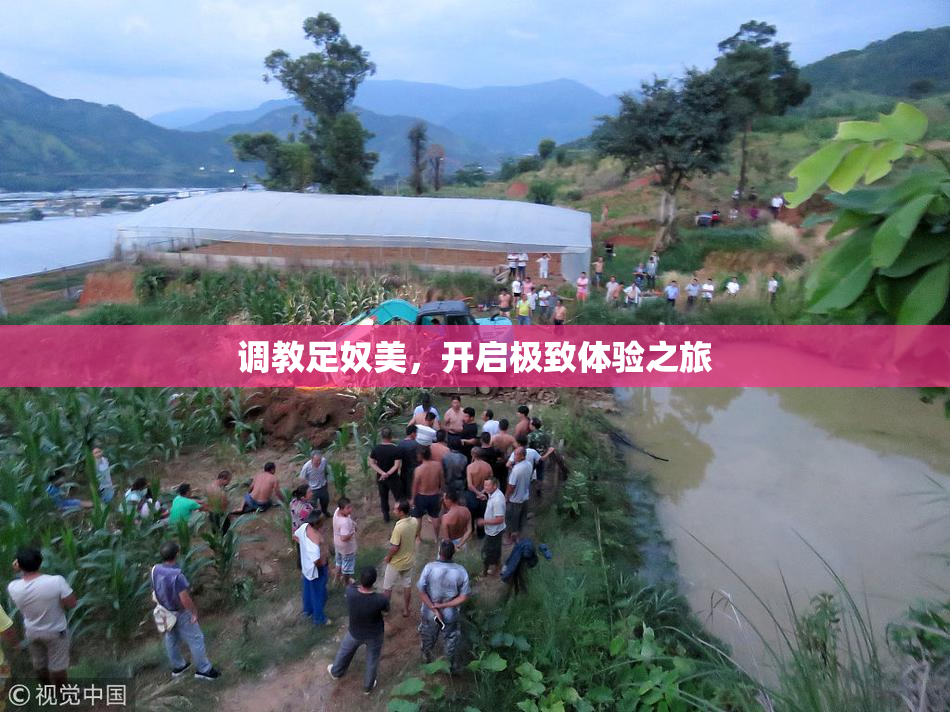 调教足奴美，开启极致体验之旅