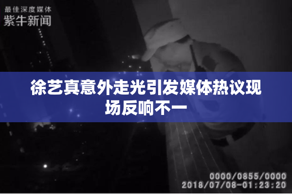 徐艺真意外走光引发媒体热议现场反响不一