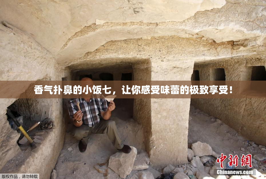 香气扑鼻的小饭七，让你感受味蕾的极致享受！