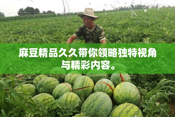 麻豆精品久久带你领略独特视角与精彩内容。