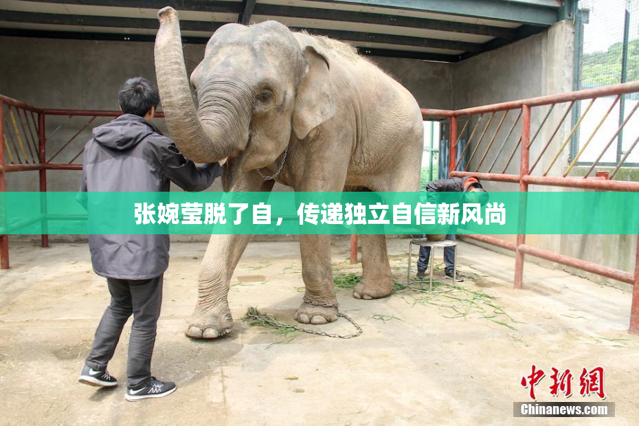 张婉莹脱了自，传递独立自信新风尚